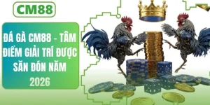 Đá Gà CM88 – Năm 2026 Tâm Điểm Giải Trí Được Săn Đón